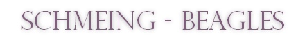 Schmeing - Beagles