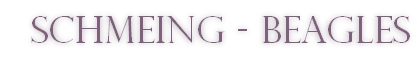 Schmeing - Beagles