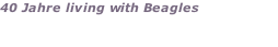 40 Jahre living with Beagles