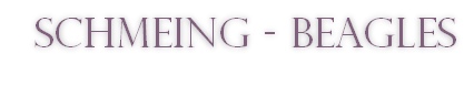 Schmeing - Beagles